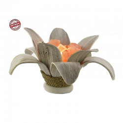 Braciere di sale rosa a...