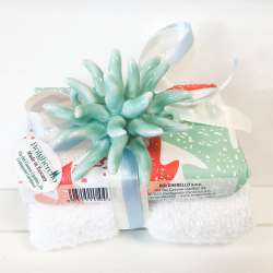 Sapone naturale con lavette...