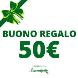 Buono regalo 50€