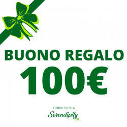 Buono regalo 100€