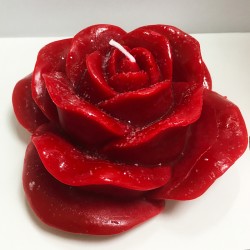 Rosa color rosso effetto brina