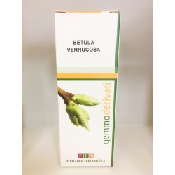 Betula Verrucosa linfa