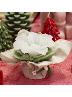 Stella di Natale con Juta...