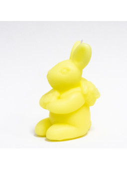 Coniglietto viaggiatore giallo