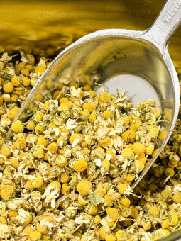 Camomilla Biologica fiori...