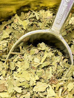 Tarassaco Foglie Taglio...