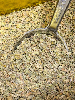 Finocchio Biologico frutti...