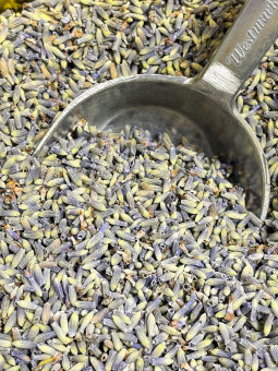 Lavanda Biologica fiori...