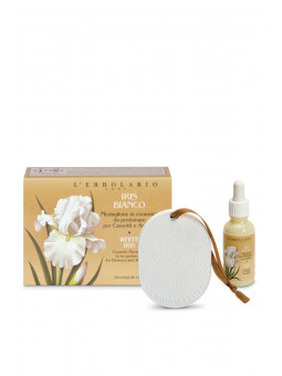 Medaglione per Cassetti e...