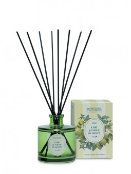 Lime & Foglie di Menta -...