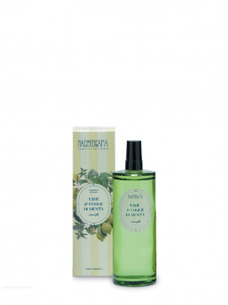 Lime & Foglie di Menta -...