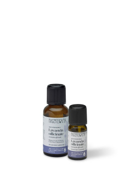 Lavanda officinale bio