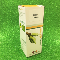 Ficus Carica - Soluzione...