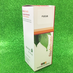 Fucus - Soluzione...